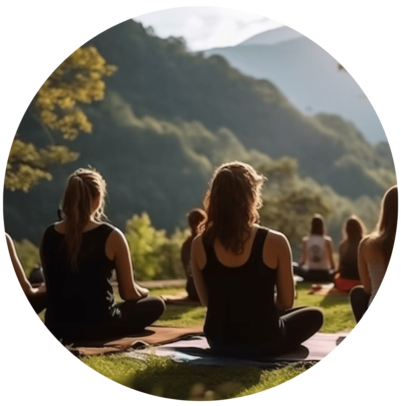 Copie de Année 2025 2026 Pack insertion